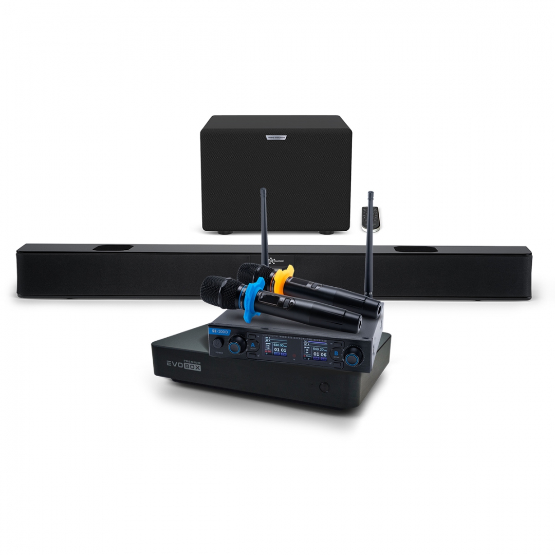 Hi-End караоке-система EVOBOX Premium + EvoSoundBar (саундбар с караоке) в Электроуглях