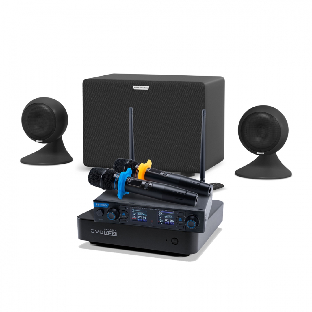 караоке-комплект EVOBOX + EvoSound Sphere 2.1 в Электроуглях