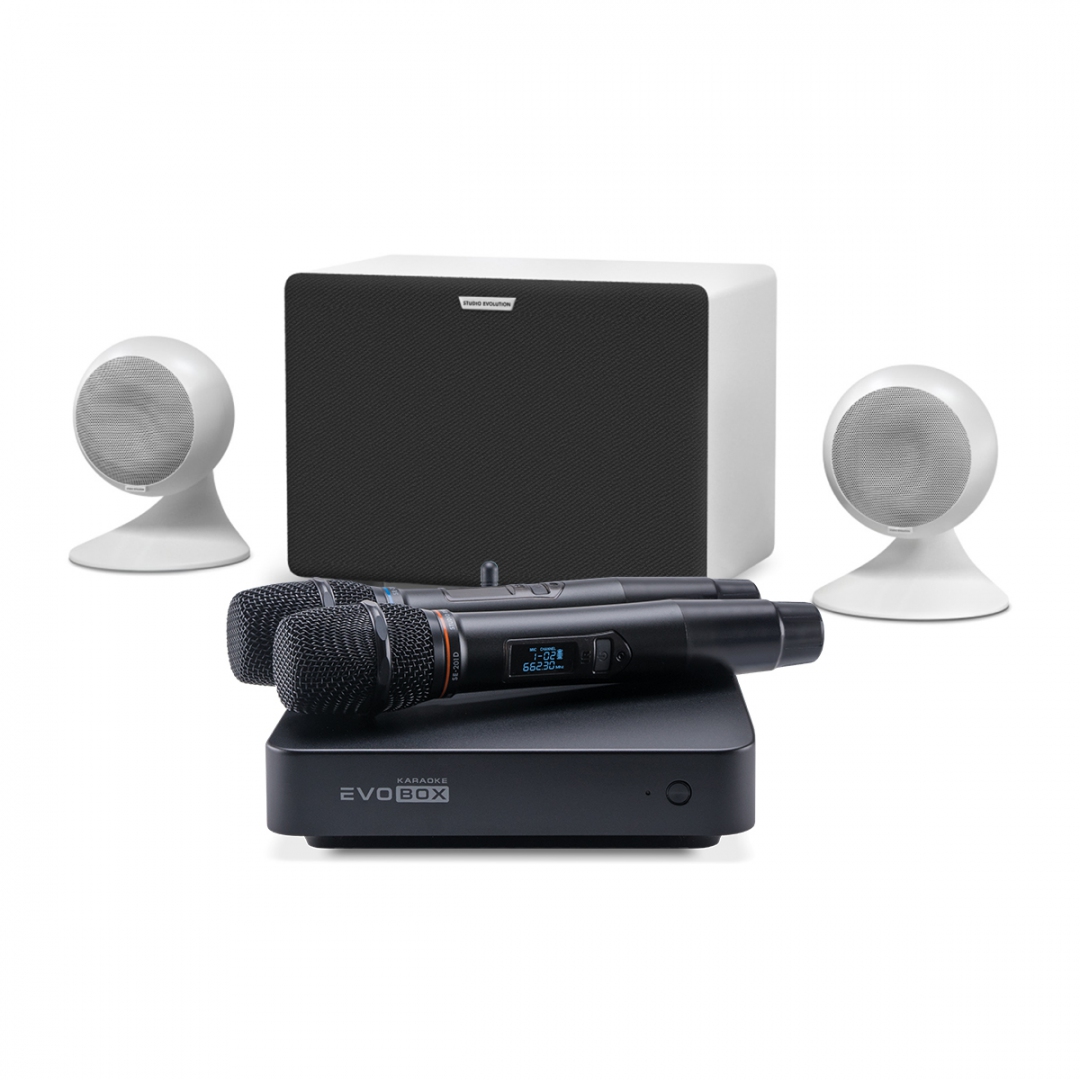 караоке-комплект EVOBOX Classic + EvoSound Sphere 2.1 в Электроуглях