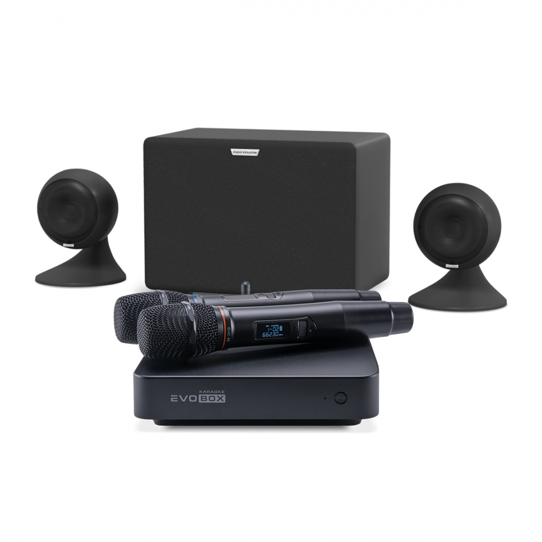 караоке-комплект EVOBOX Plus + EvoSound Sphere 2.1 в Электроуглях