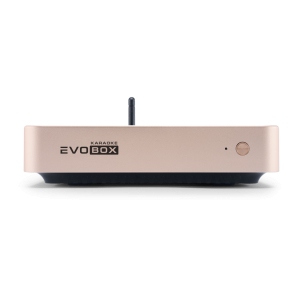 EVOBOX Classic караоке-система для дома в Электроуглях