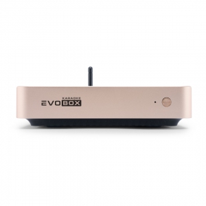 EVOBOX Plus караоке-система для дома в Электроуглях