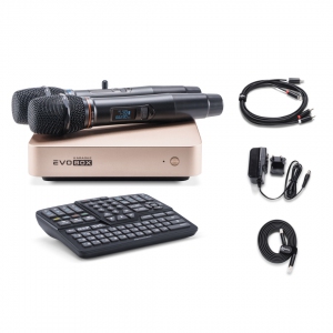 EVOBOX Plus караоке-система для дома в Электроуглях