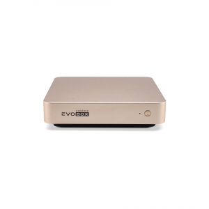 EVOBOX с микрофонами в Электроуглях